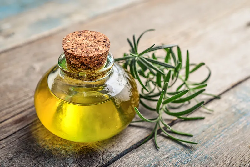 روغن رزماری برای درمان ریزش موی سر