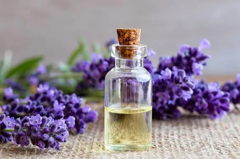 تصویر روغن اسطوخودوس